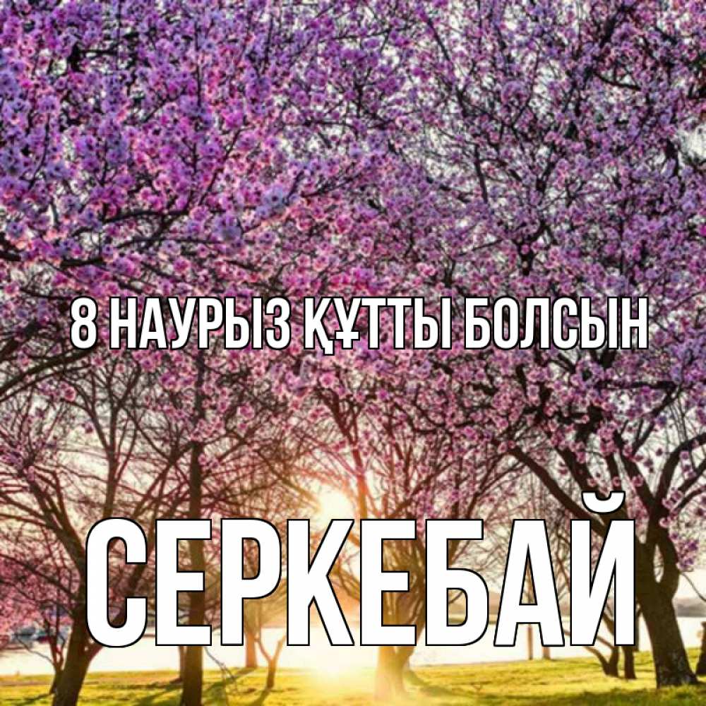 Күн сайын ашық хат с именем, СЕРКЕБАЙ 8 наурыз құтты болсын международный женский день Онлайн тегін жүктеп алу тілектері бар керемет карта 