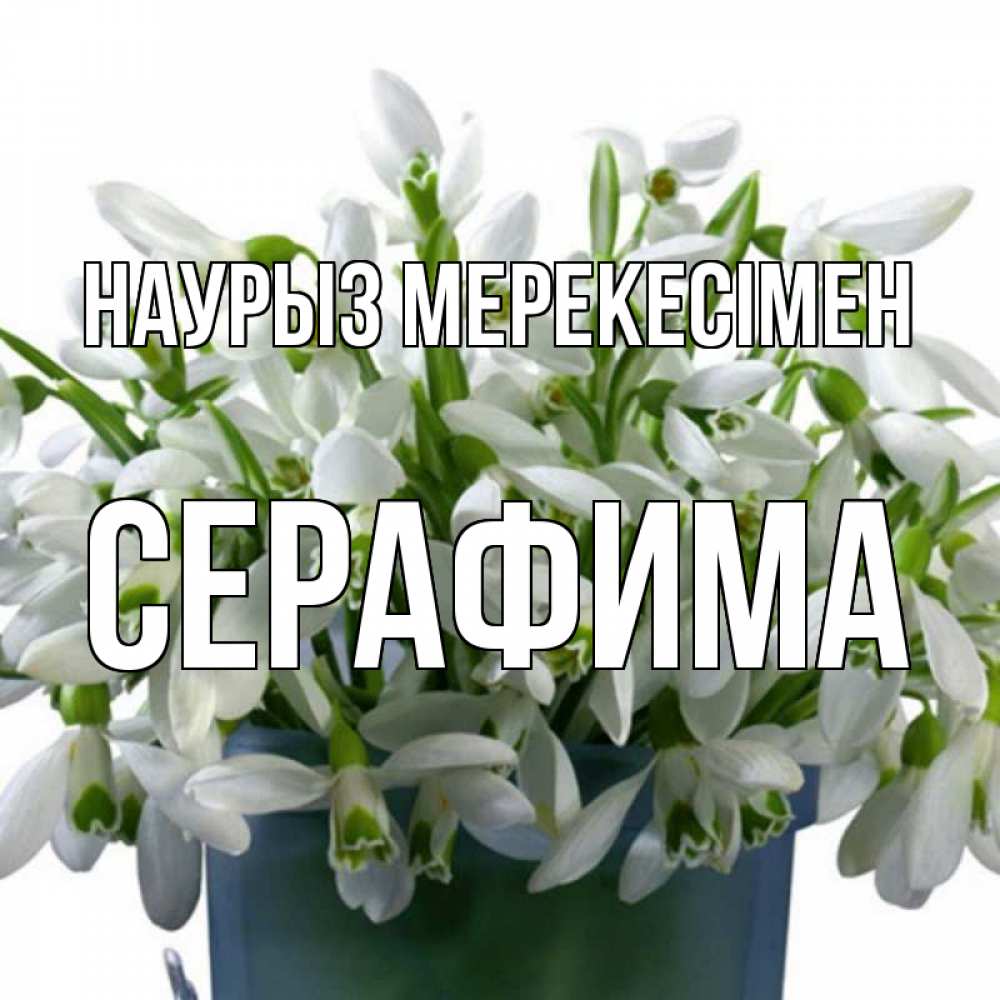 Күн сайын ашық хат с именем, Серафима Наурыз мерекесімен цветы к наурызу новый год в Казахстане Онлайн тегін жүктеп алу тілектері бар керемет карта 