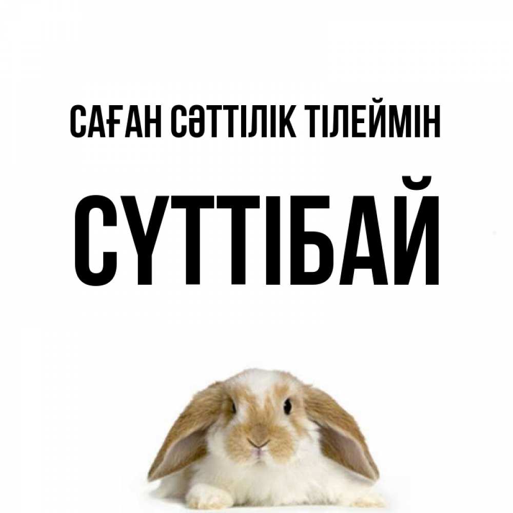 Күн сайын ашық хат с именем, СҮТТІБАЙ Саған сәттілік тілеймін открытки с произвольным текстом который можно вставить в открытку и создать ее самостоятельно бесплатно онлайн Онлайн тегін жүктеп алу тілектері бар керемет карта 