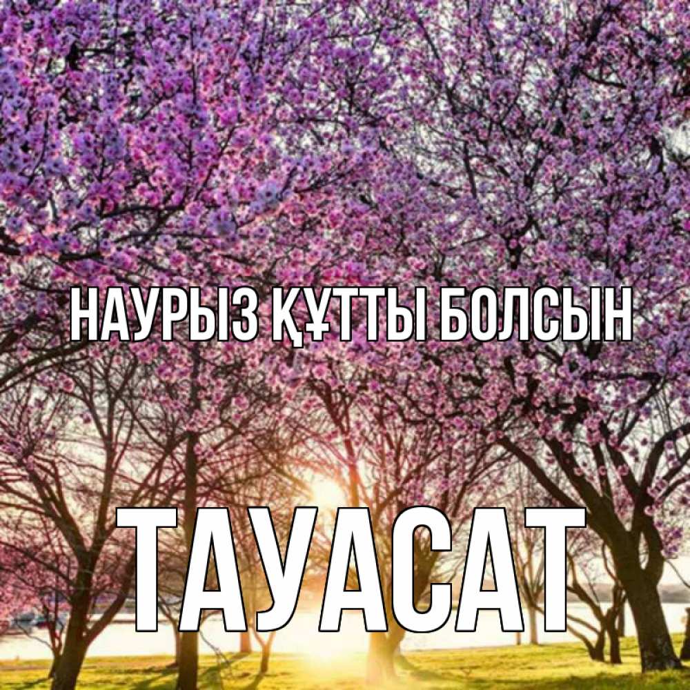 Күн сайын ашық хат с именем, ТАУАСАТ Наурыз құтты болсын наурыз Онлайн тегін жүктеп алу тілектері бар керемет карта 