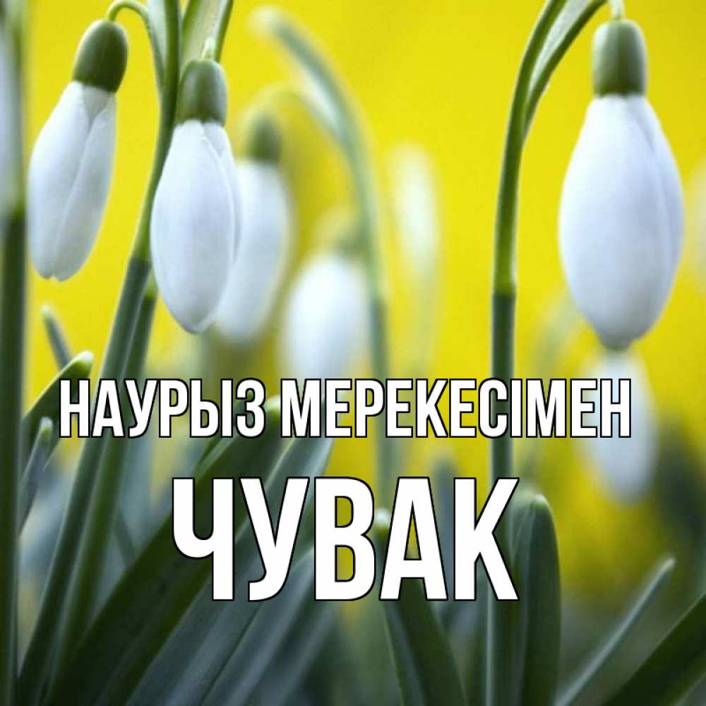 Күн сайын ашық хат с именем, Чувак Наурыз мерекесімен весенние цветы Онлайн тегін жүктеп алу тілектері бар керемет карта 