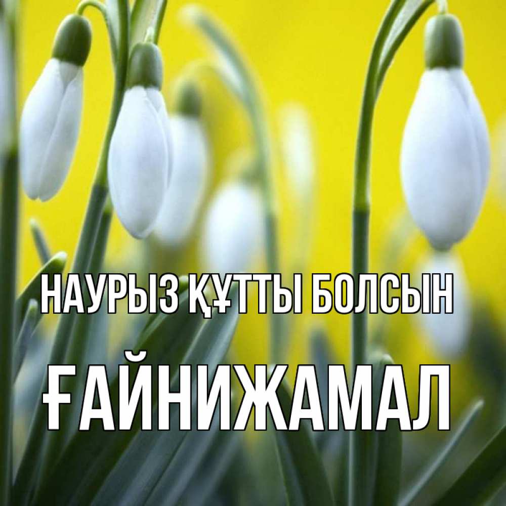 Күн сайын ашық хат с именем, ҒАЙНИЖАМАЛ Наурыз құтты болсын весенние цветы Онлайн тегін жүктеп алу тілектері бар керемет карта 
