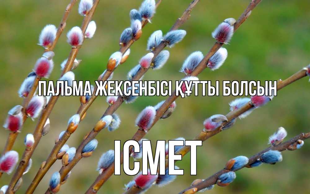 Күн сайын ашық хат с именем, ІСМЕТ Пальма жексенбісі құтты болсын верба Онлайн тегін жүктеп алу тілектері бар керемет карта 