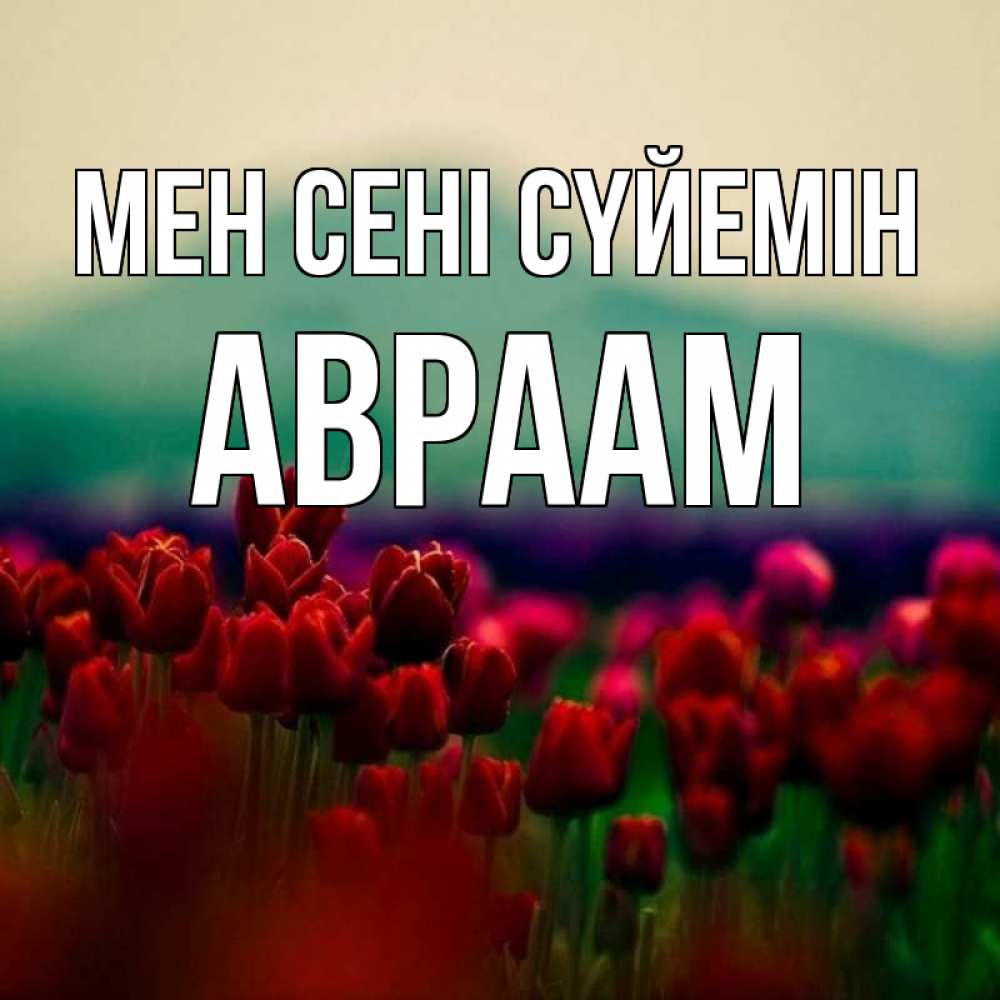 Күн сайын ашық хат с именем, Авраам Мен сені сүйемін тюльпаны 4 Онлайн тегін жүктеп алу тілектері бар керемет карта 