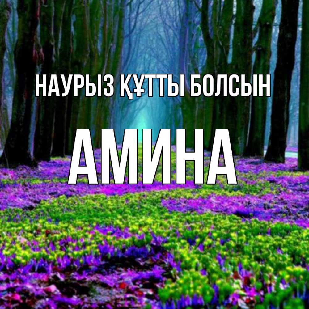 Күн сайын ашық хат с именем, Амина Наурыз құтты болсын фиолетовые цветы в лесу 1 Онлайн тегін жүктеп алу тілектері бар керемет карта 