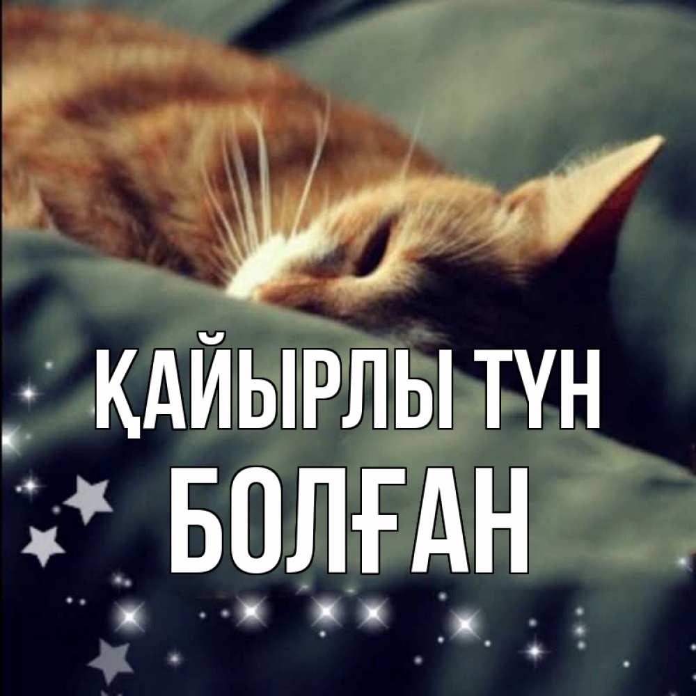Күн сайын ашық хат с именем, Болған Қайырлы түн кроватка Онлайн тегін жүктеп алу тілектері бар керемет карта 