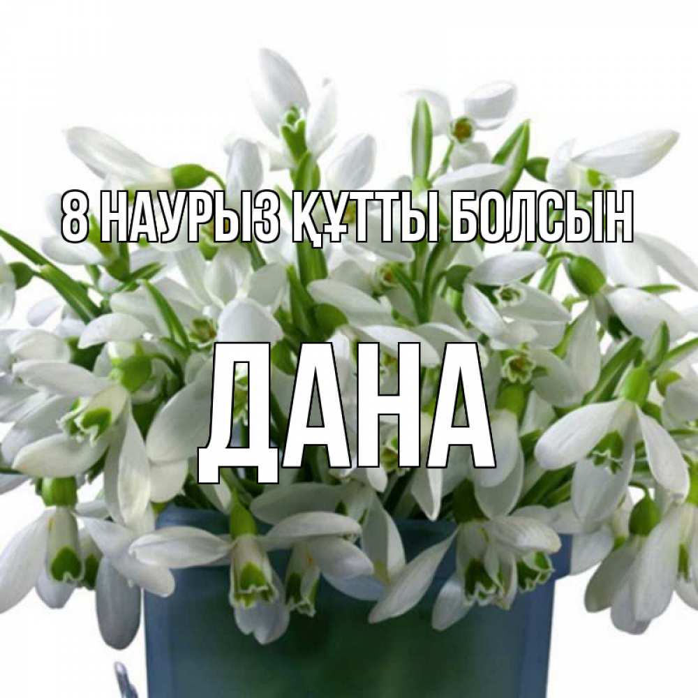 Күн сайын ашық хат с именем, ДАНА 8 наурыз құтты болсын цветы к международному женскому дню Онлайн тегін жүктеп алу тілектері бар керемет карта 