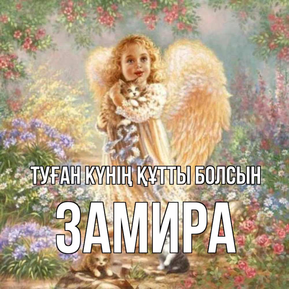 Күн сайын ашық хат с именем, ЗАМИРА Туған күнің құтты болсын держит котенка Онлайн тегін жүктеп алу тілектері бар керемет карта 