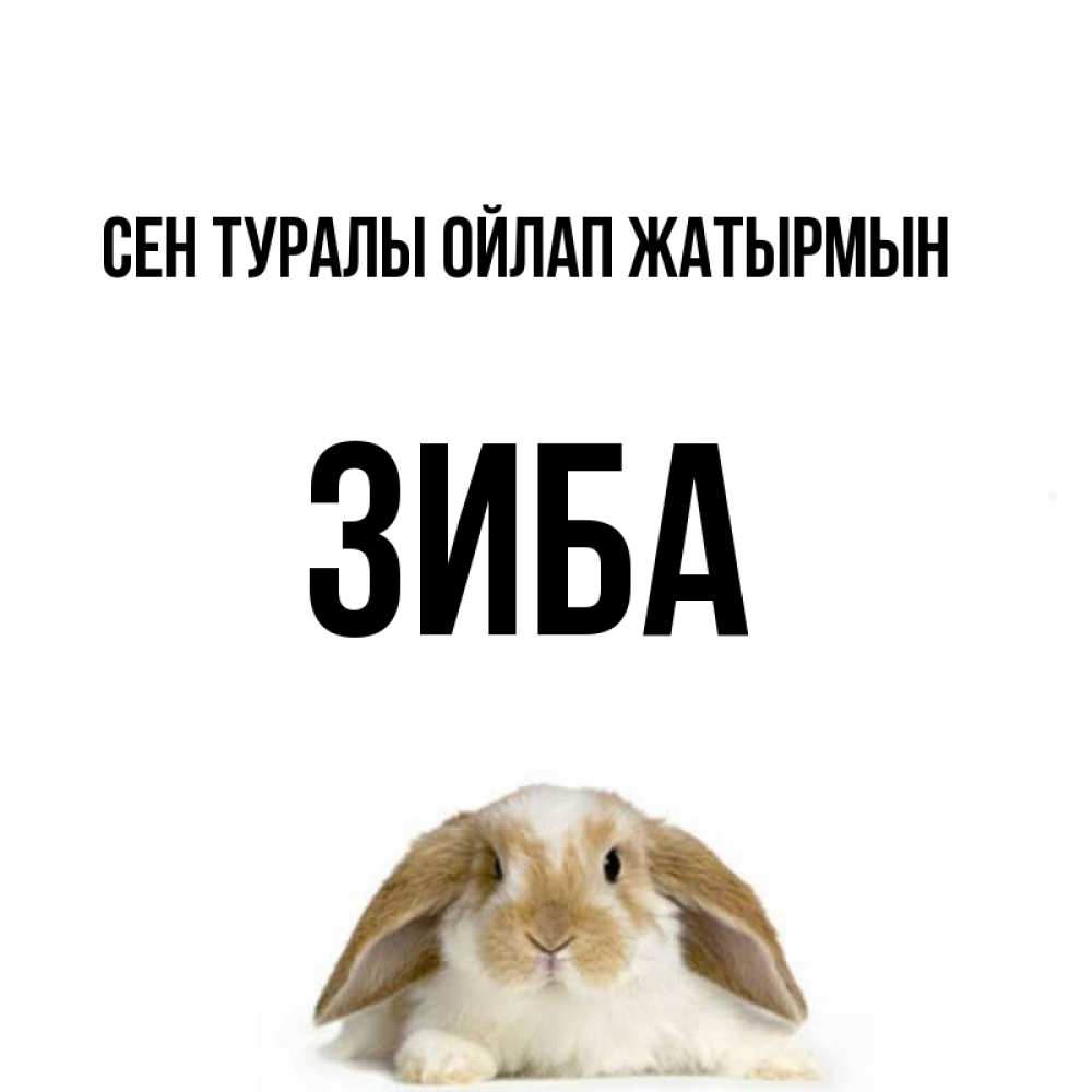 Күн сайын ашық хат с именем, ЗИБА Сен туралы ойлап жатырмын подписать своими руками онлайн Онлайн тегін жүктеп алу тілектері бар керемет карта 