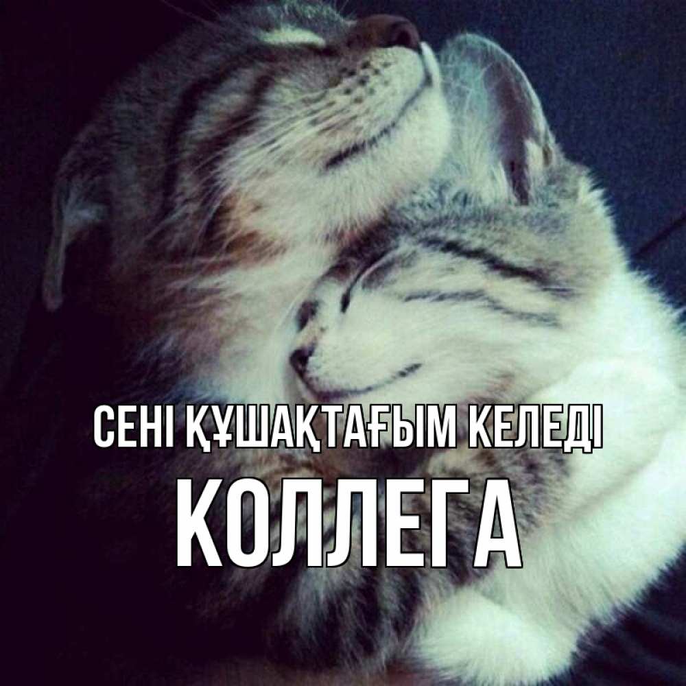 Күн сайын ашық хат с именем, Коллега сені құшақтағым келеді полосатики Онлайн тегін жүктеп алу тілектері бар керемет карта 
