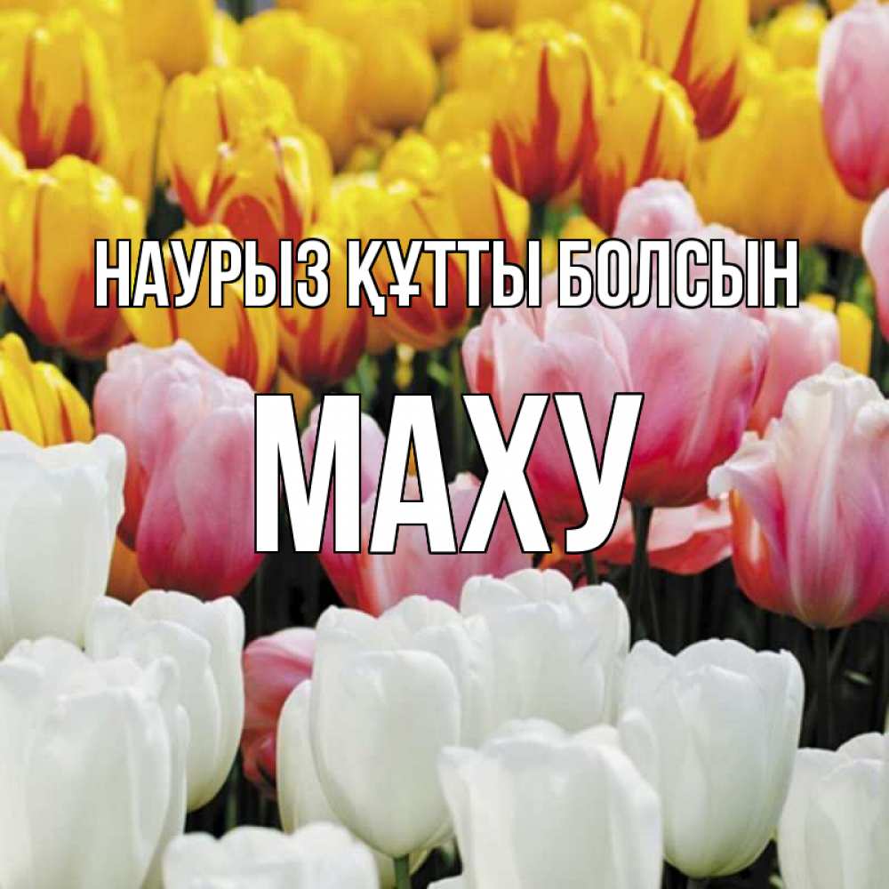 Күн сайын ашық хат с именем, МАХУ Наурыз құтты болсын разноцветные цветы Онлайн тегін жүктеп алу тілектері бар керемет карта 
