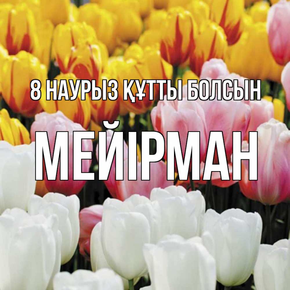 Күн сайын ашық хат с именем, МЕЙІРМАН 8 наурыз құтты болсын разноцветные цветы Онлайн тегін жүктеп алу тілектері бар керемет карта 