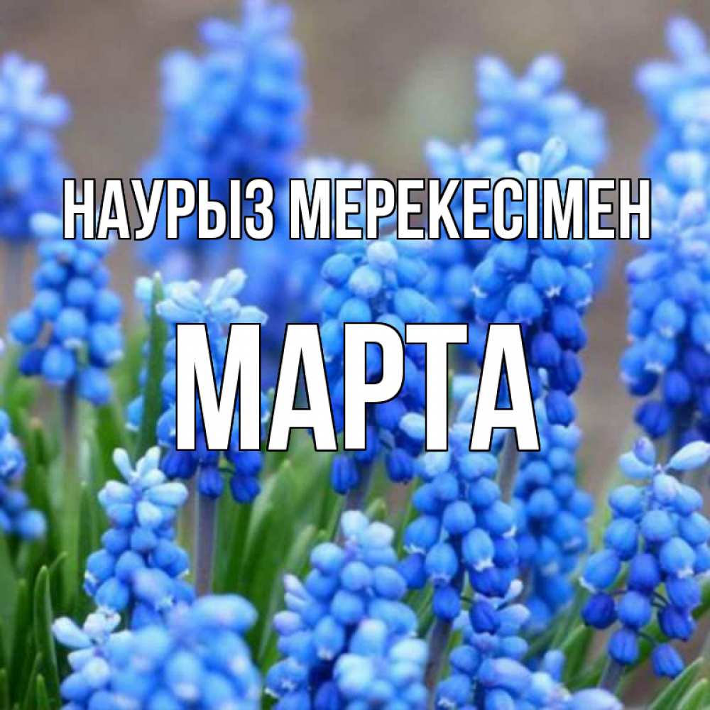 Күн сайын ашық хат с именем, Марта Наурыз мерекесімен Поздравительная открытка для женщин с цветами на праздничную дату Онлайн тегін жүктеп алу тілектері бар керемет карта 