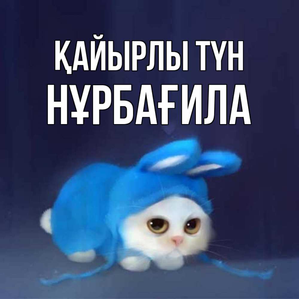 Күн сайын ашық хат с именем, НҰРБАҒИЛА Қайырлы түн кот в голубом костюме кролика с ушками Онлайн тегін жүктеп алу тілектері бар керемет карта 