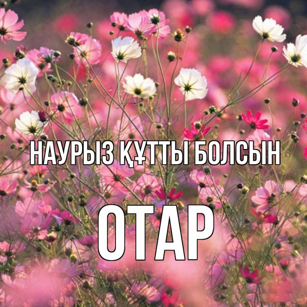 Күн сайын ашық хат с именем, ОТАР Наурыз құтты болсын красиво 1 Онлайн тегін жүктеп алу тілектері бар керемет карта 