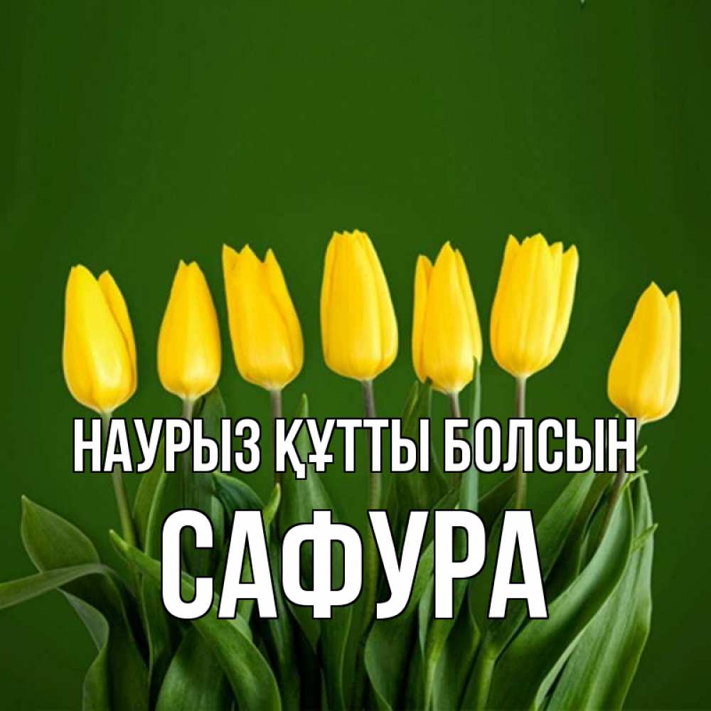 Күн сайын ашық хат с именем, САФУРА Наурыз құтты болсын желтого цвета 3 Онлайн тегін жүктеп алу тілектері бар керемет карта 