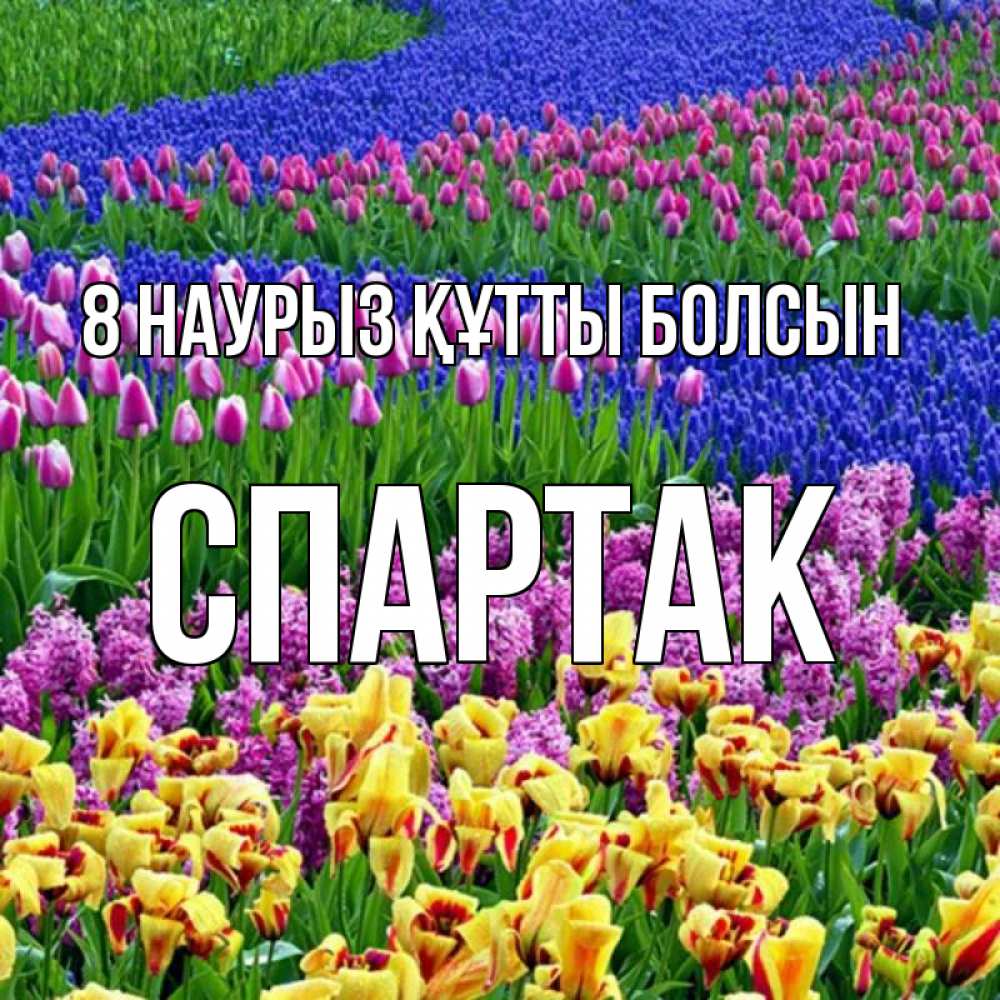 Күн сайын ашық хат с именем, Спартак 8 наурыз құтты болсын цветы Онлайн тегін жүктеп алу тілектері бар керемет карта 
