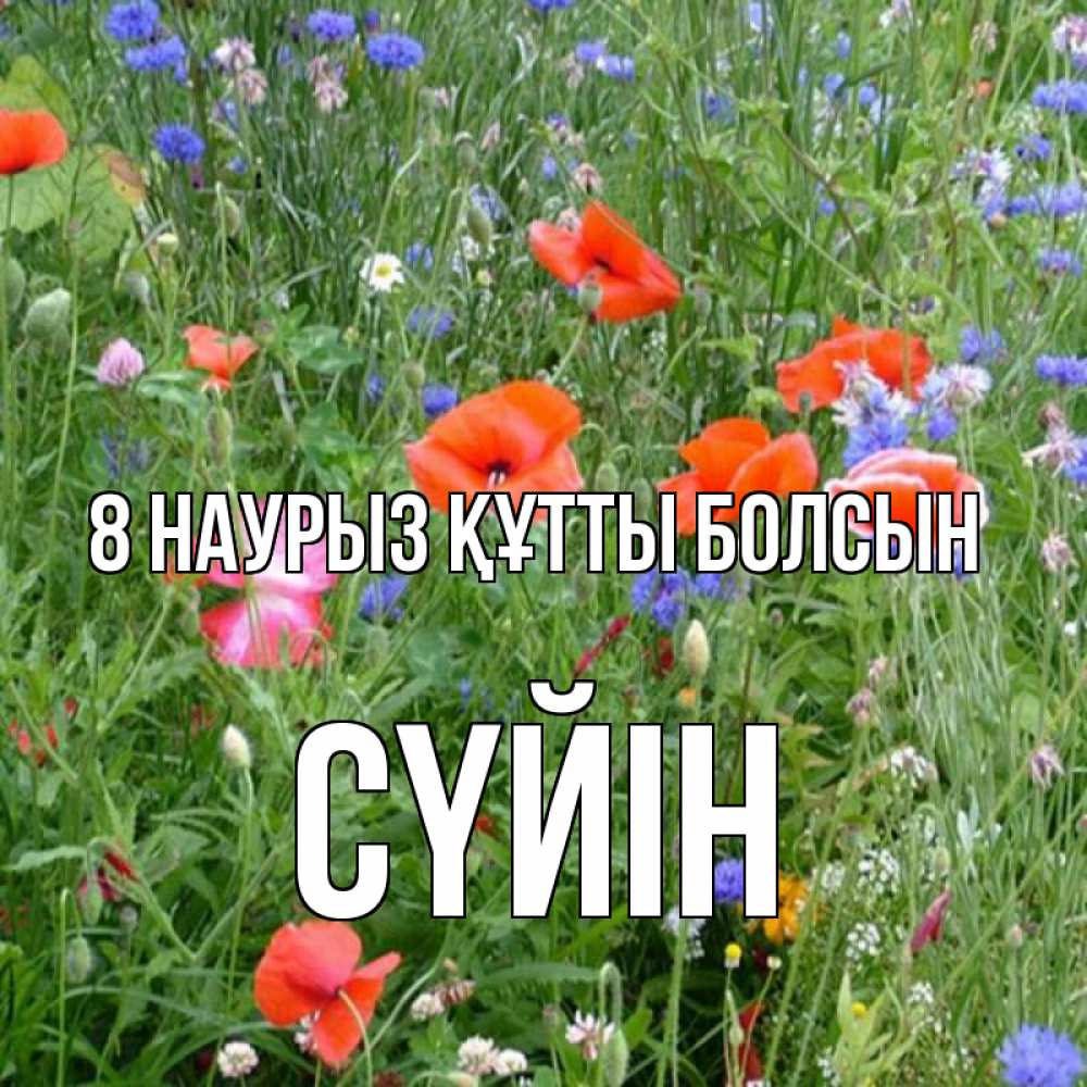 Күн сайын ашық хат с именем, СҮЙІН 8 наурыз құтты болсын международный женский день 4 Онлайн тегін жүктеп алу тілектері бар керемет карта 