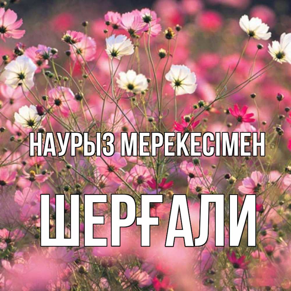 Күн сайын ашық хат с именем, ШЕРҒАЛИ Наурыз мерекесімен красиво 1 Онлайн тегін жүктеп алу тілектері бар керемет карта 