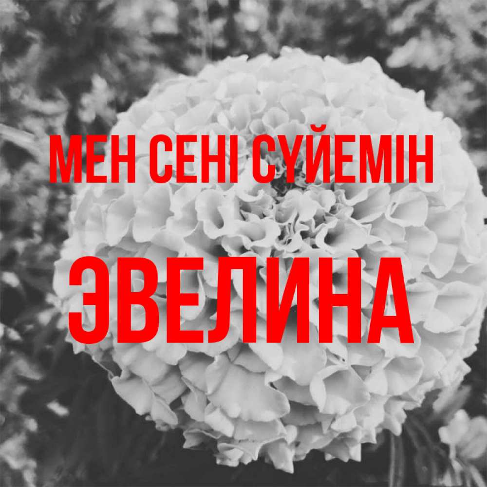Күн сайын ашық хат с именем, Эвелина Мен сені сүйемін подпись Онлайн тегін жүктеп алу тілектері бар керемет карта 