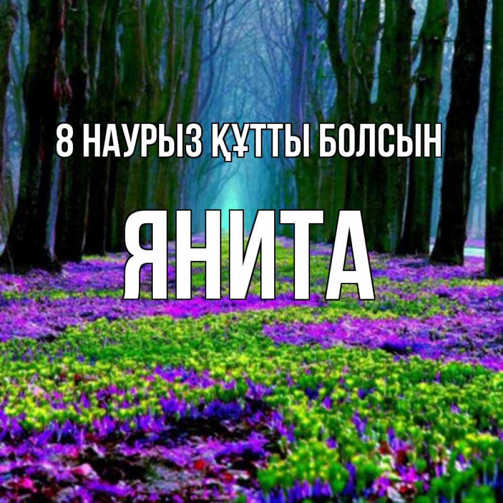Күн сайын ашық хат с именем, Янита 8 наурыз құтты болсын фиолетовые цветы в лесу 1 Онлайн тегін жүктеп алу тілектері бар керемет карта 