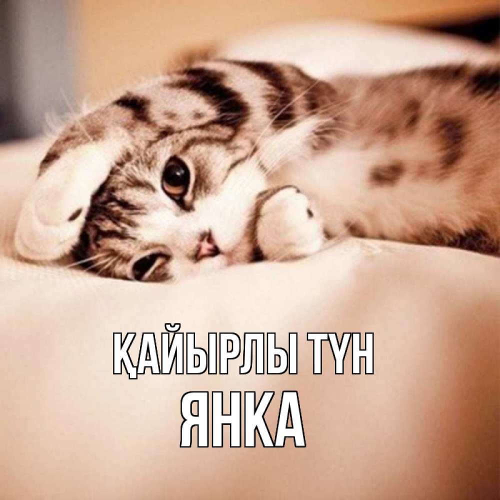 Күн сайын ашық хат с именем, Янка Қайырлы түн сладких снов с животными Онлайн тегін жүктеп алу тілектері бар керемет карта 