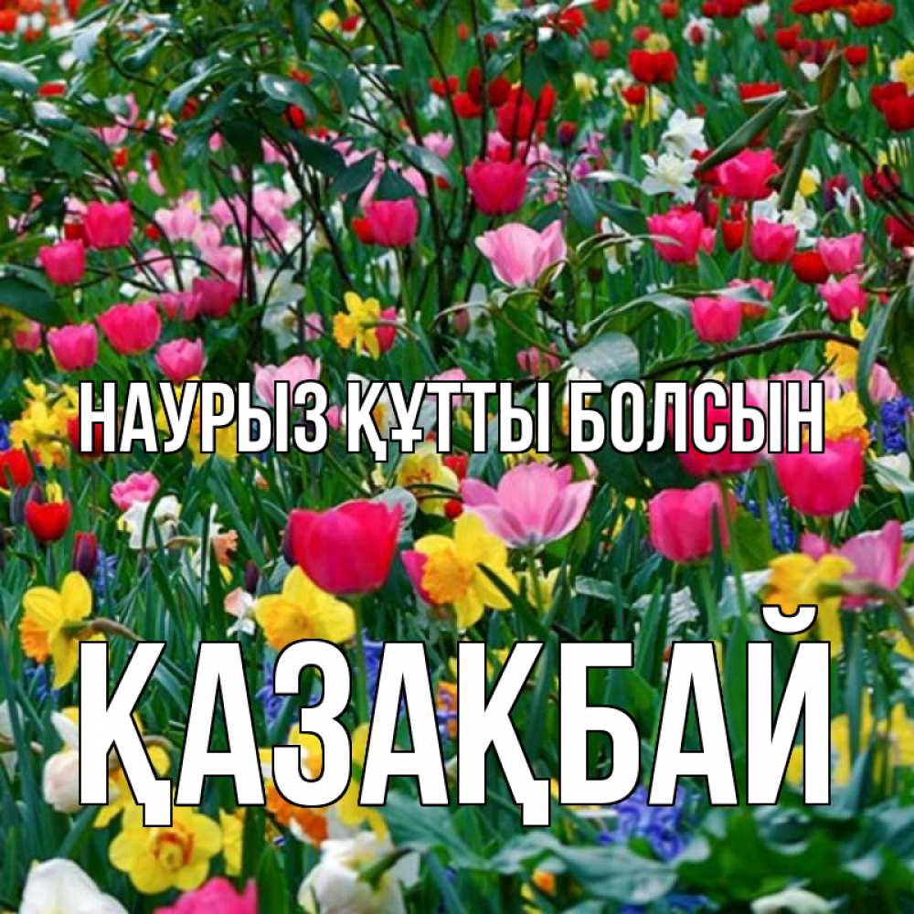 Күн сайын ашық хат с именем, Қазақбай Наурыз құтты болсын с наурызом поздравления для женщины Онлайн тегін жүктеп алу тілектері бар керемет карта 