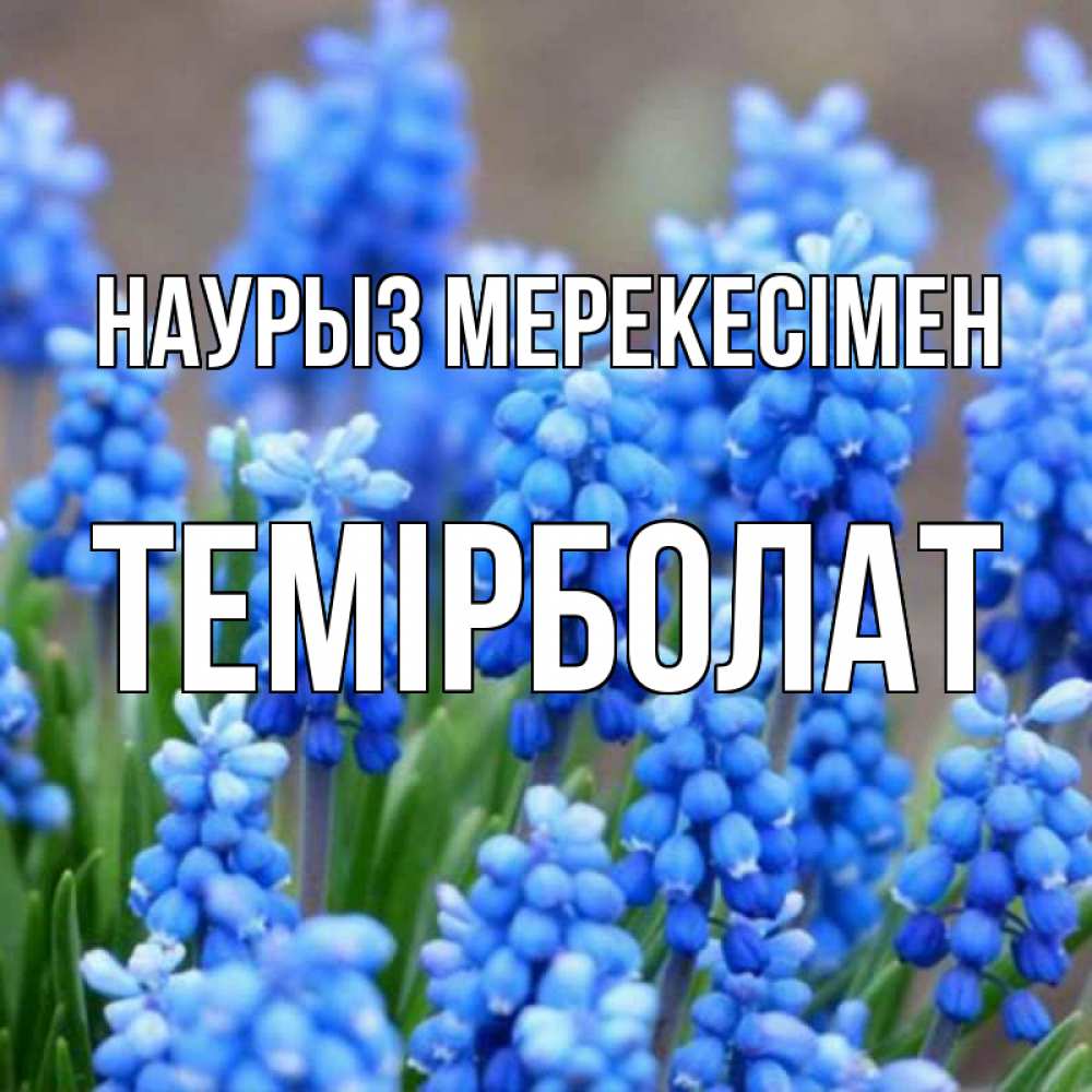 Күн сайын ашық хат с именем, ТЕМІРБОЛАТ Наурыз мерекесімен Поздравительная открытка для женщин с цветами на праздничную дату Онлайн тегін жүктеп алу тілектері бар керемет карта 