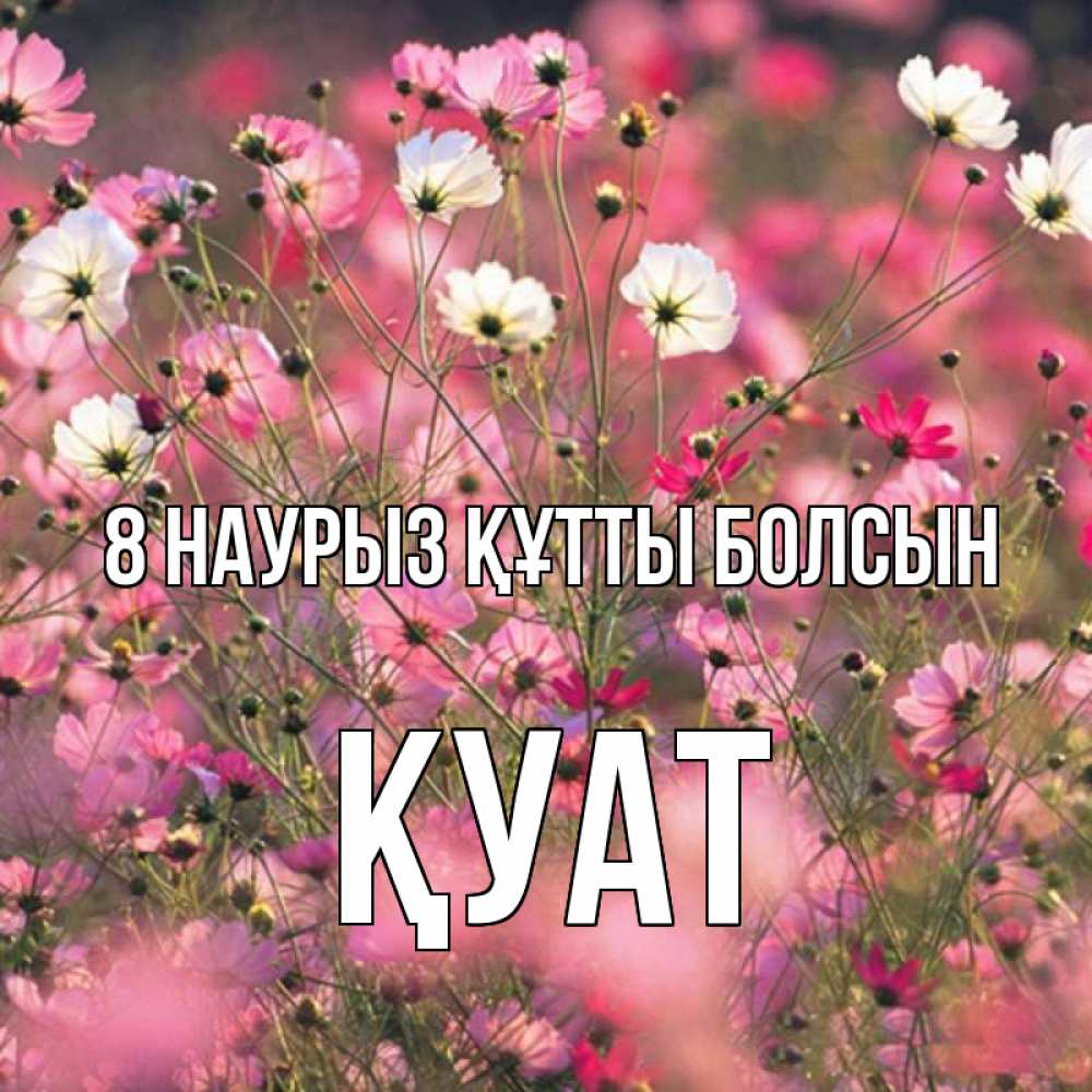 Күн сайын ашық хат с именем, ҚУАТ 8 наурыз құтты болсын красиво 1 Онлайн тегін жүктеп алу тілектері бар керемет карта 