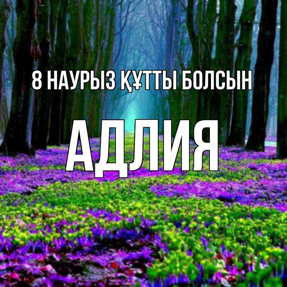 Күн сайын ашық хат с именем, АДЛИЯ 8 наурыз құтты болсын фиолетовые цветы в лесу 1 Онлайн тегін жүктеп алу тілектері бар керемет карта 