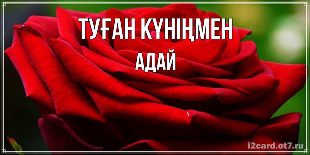 Күн сайын ашық хат с именем, Адай Туған күніңмен розочка очень красивая Онлайн тегін жүктеп алу тілектері бар керемет карта 