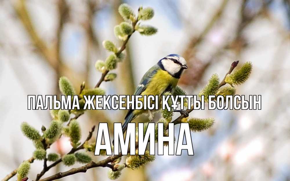 Күн сайын ашық хат с именем, Амина Пальма жексенбісі құтты болсын верба Онлайн тегін жүктеп алу тілектері бар керемет карта 