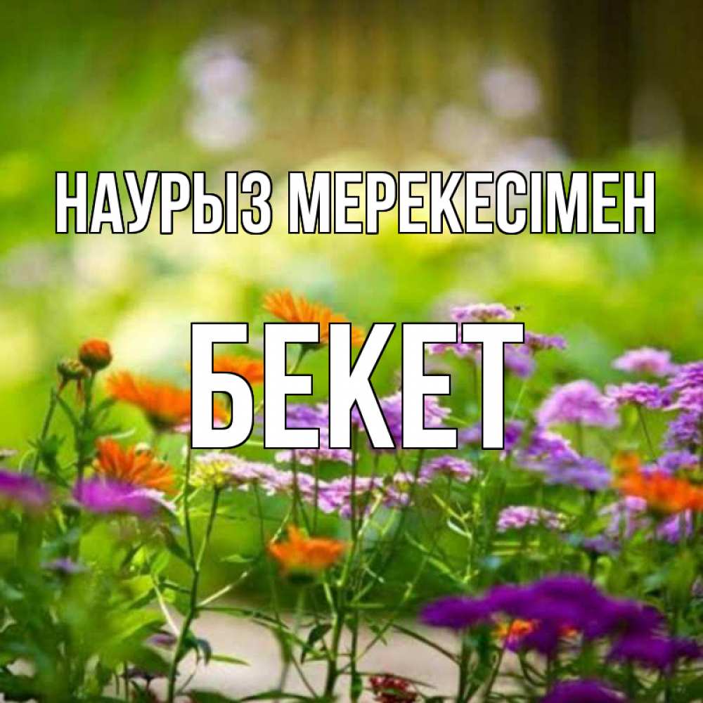 Күн сайын ашық хат с именем, Бекет Наурыз мерекесімен цветы Онлайн тегін жүктеп алу тілектері бар керемет карта 