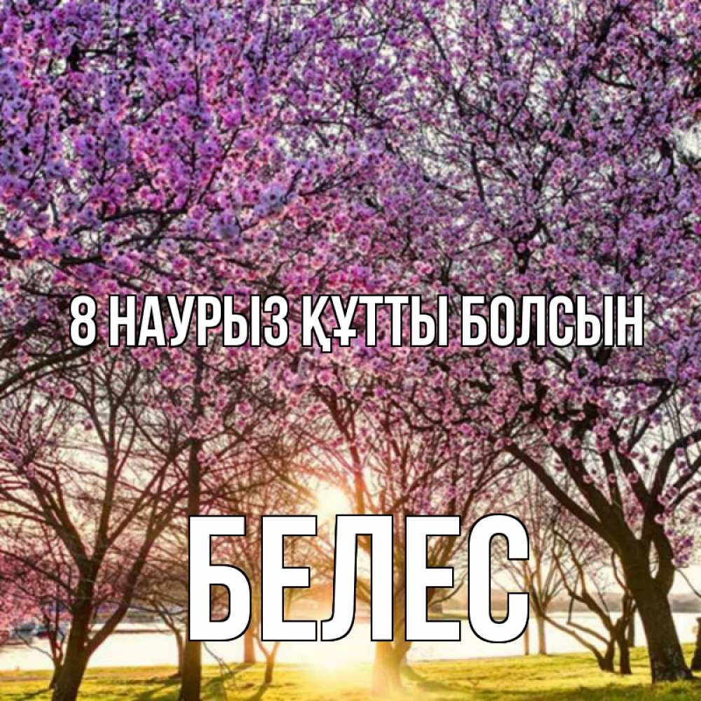 Күн сайын ашық хат с именем, Белес 8 наурыз құтты болсын международный женский день Онлайн тегін жүктеп алу тілектері бар керемет карта 