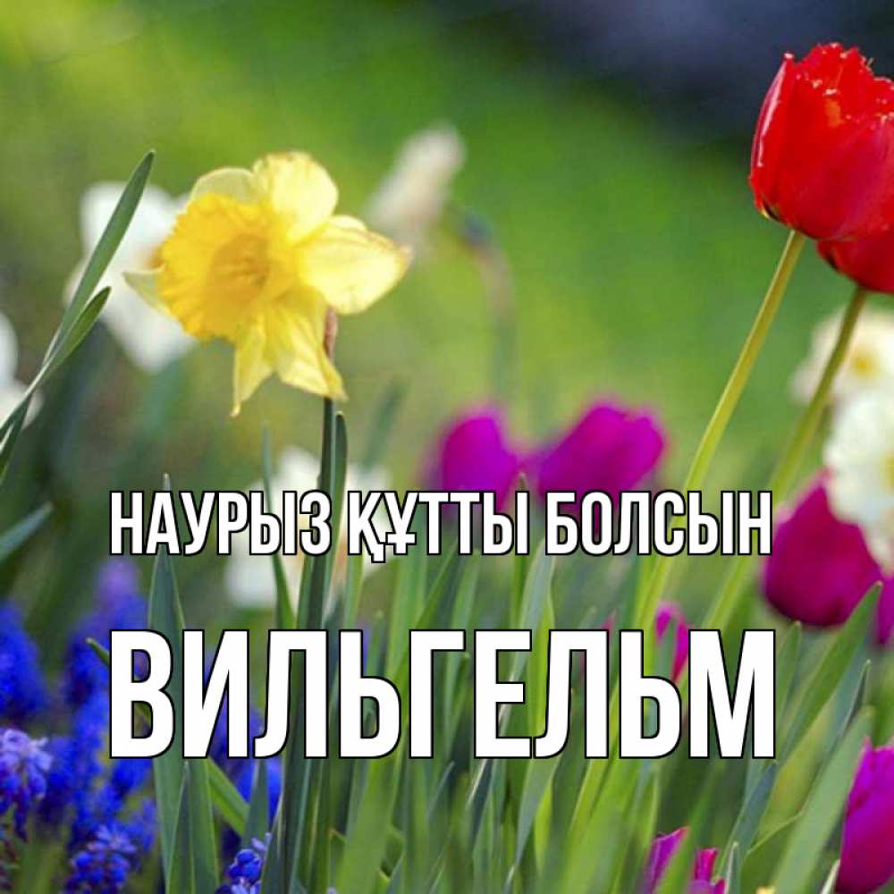 Күн сайын ашық хат с именем, Вильгельм Наурыз құтты болсын наурыз  3 открытки Онлайн тегін жүктеп алу тілектері бар керемет карта 