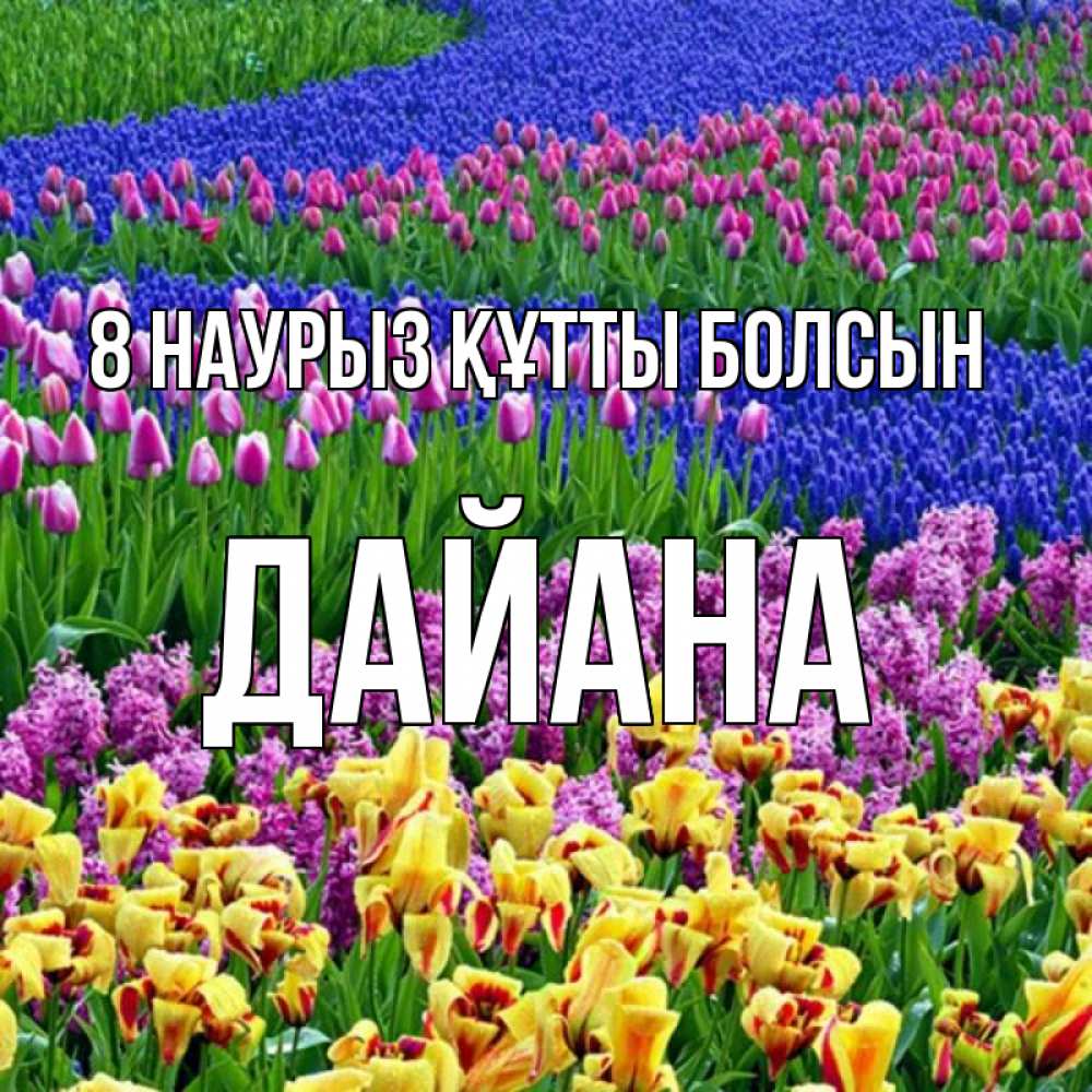Күн сайын ашық хат с именем, ДАЙАНА 8 наурыз құтты болсын цветы Онлайн тегін жүктеп алу тілектері бар керемет карта 