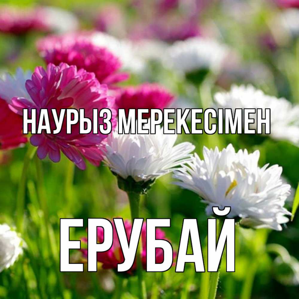 Күн сайын ашық хат с именем, Ерубай Наурыз мерекесімен праздник весны наурыз красота Онлайн тегін жүктеп алу тілектері бар керемет карта 