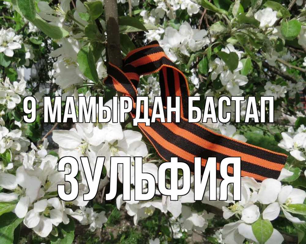 Күн сайын ашық хат с именем, Зульфия 9 мамырдан бастап 9 мая Онлайн тегін жүктеп алу тілектері бар керемет карта 