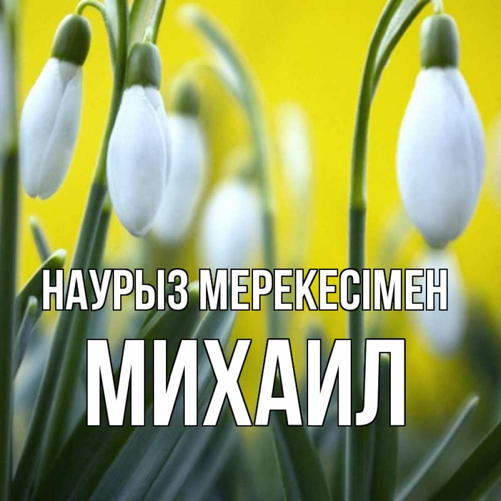 Күн сайын ашық хат с именем, Михаил Наурыз мерекесімен весенние цветы Онлайн тегін жүктеп алу тілектері бар керемет карта 