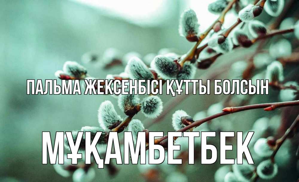 Күн сайын ашық хат с именем, Мұқамбетбек Пальма жексенбісі құтты болсын верба Онлайн тегін жүктеп алу тілектері бар керемет карта 