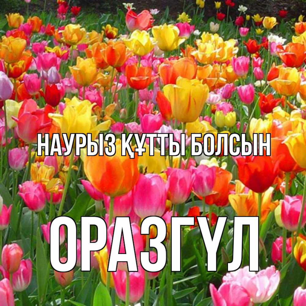 Күн сайын ашық хат с именем, ОРАЗГҮЛ Наурыз құтты болсын на наурыз  ура ура Онлайн тегін жүктеп алу тілектері бар керемет карта 