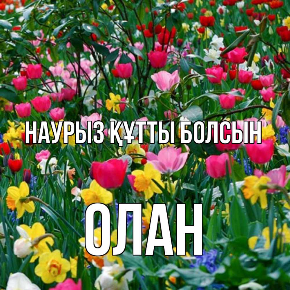 Күн сайын ашық хат с именем, Олан Наурыз құтты болсын с наурызом поздравления для женщины Онлайн тегін жүктеп алу тілектері бар керемет карта 