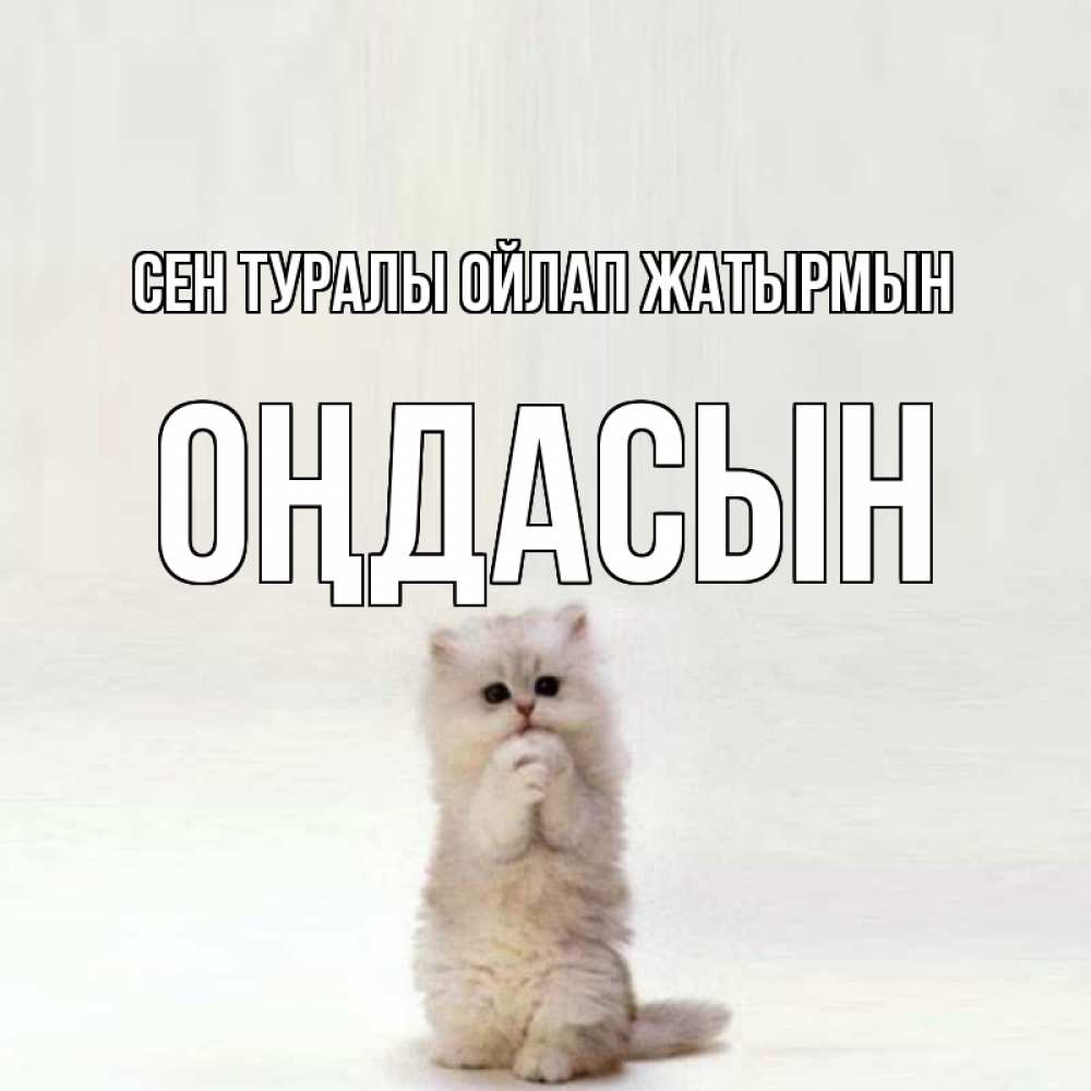 Күн сайын ашық хат с именем, ОҢДАСЫН Сен туралы ойлап жатырмын кот стоит на задних лапах Онлайн тегін жүктеп алу тілектері бар керемет карта 