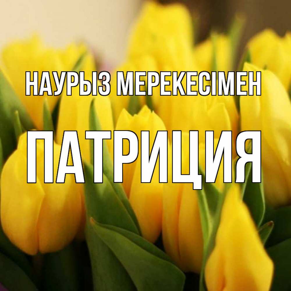 Күн сайын ашық хат с именем, Патриция Наурыз мерекесімен цветы Онлайн тегін жүктеп алу тілектері бар керемет карта 