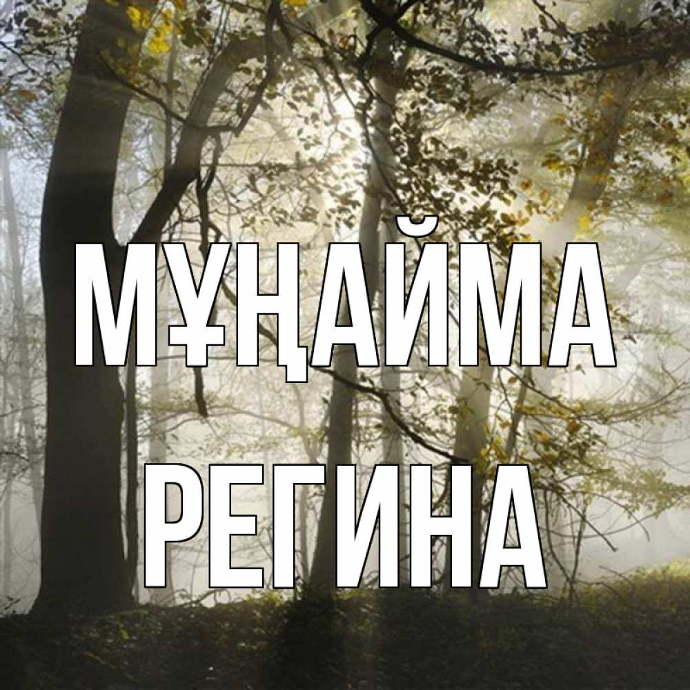 Күн сайын ашық хат с именем, Регина Мұңайма лес и свет Онлайн тегін жүктеп алу тілектері бар керемет карта 