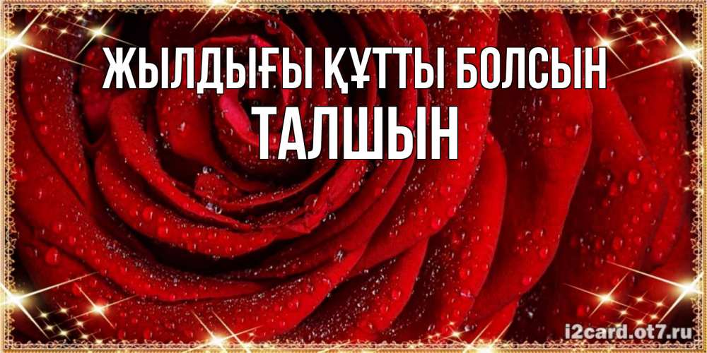 Күн сайын ашық хат с именем, ТАЛШЫН Жылдығы құтты болсын роса на розе блестящая в лучах солнца Онлайн тегін жүктеп алу тілектері бар керемет карта 