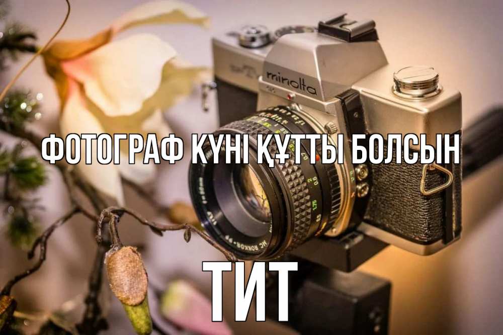 Күн сайын ашық хат с именем, Тит Фотограф күні құтты болсын с днем фотографа 1 Онлайн тегін жүктеп алу тілектері бар керемет карта 