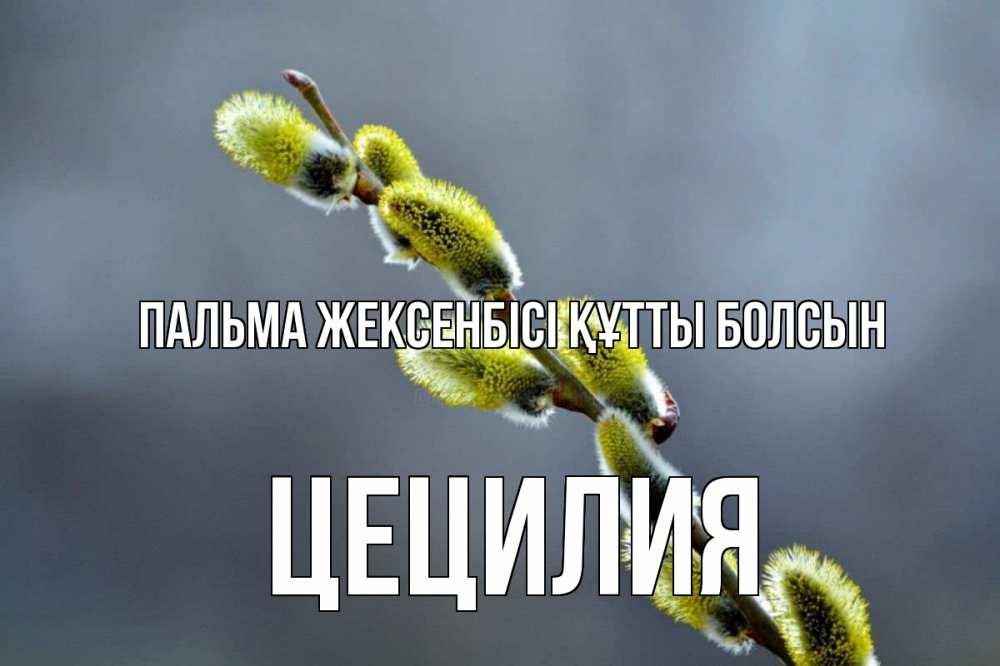 Күн сайын ашық хат с именем, Цецилия Пальма жексенбісі құтты болсын верба Онлайн тегін жүктеп алу тілектері бар керемет карта 