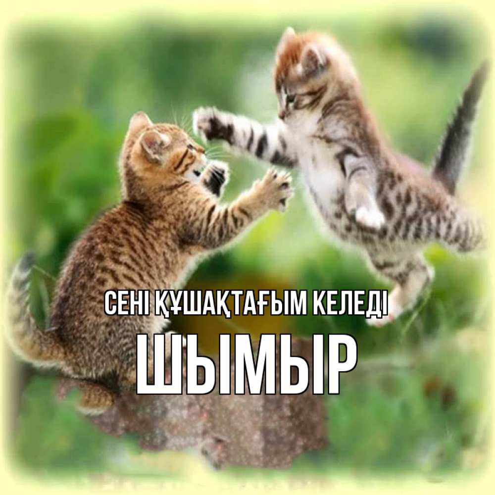 Күн сайын ашық хат с именем, ШЫМЫР сені құшақтағым келеді игры котят Онлайн тегін жүктеп алу тілектері бар керемет карта 