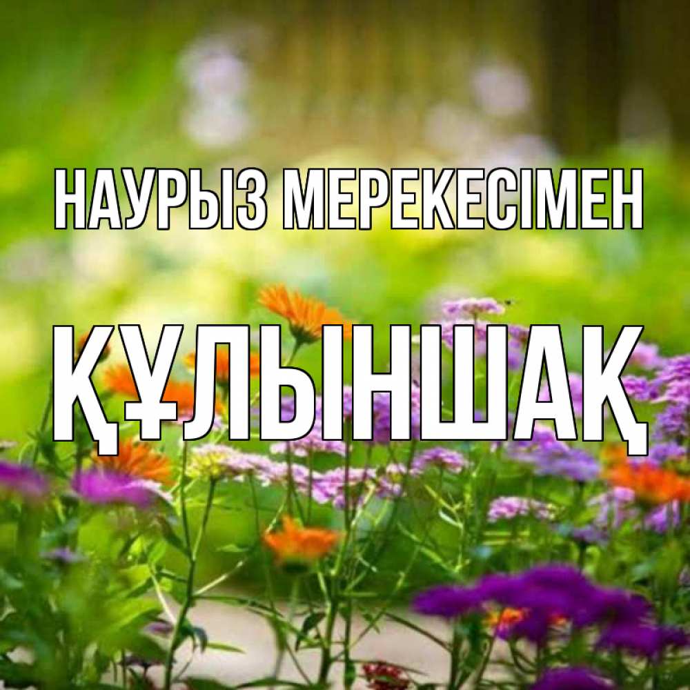 Күн сайын ашық хат с именем, ҚҰЛЫНШАҚ Наурыз мерекесімен цветы Онлайн тегін жүктеп алу тілектері бар керемет карта 